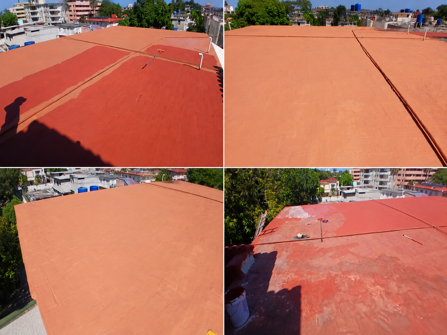 Avance de la Restauración 3